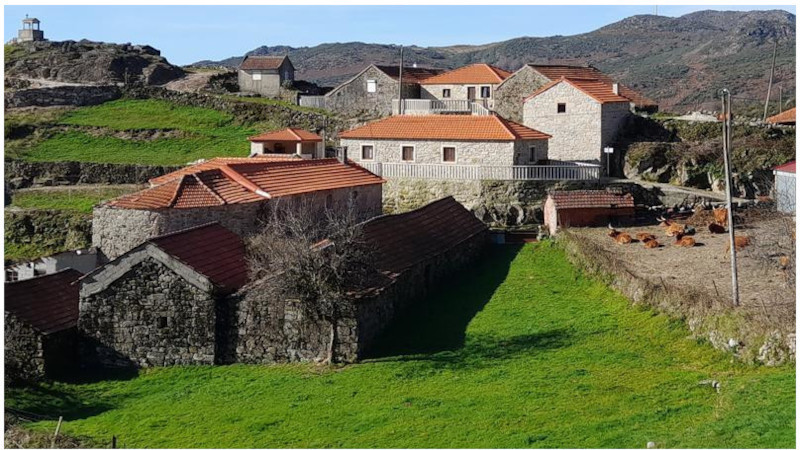 Cambezes, Juguelhe e Magusteiro